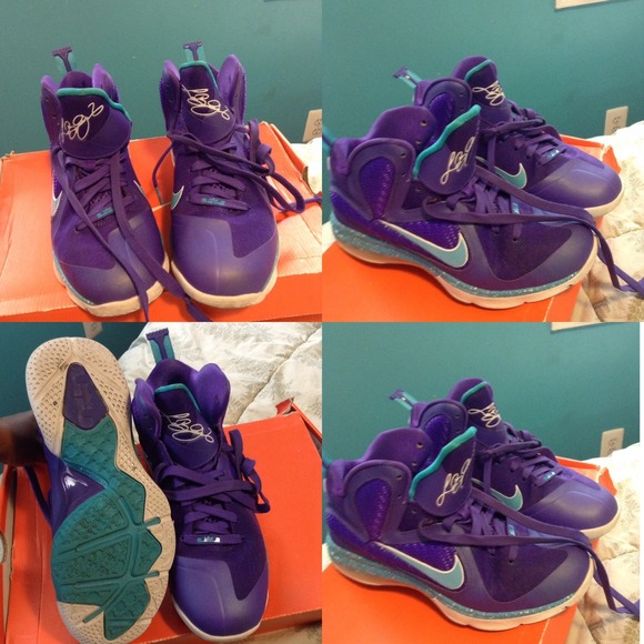 Nike lebron hornet