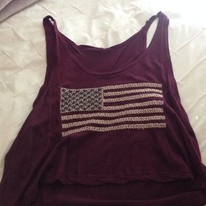 Brandy melville burgundy american flag crop top