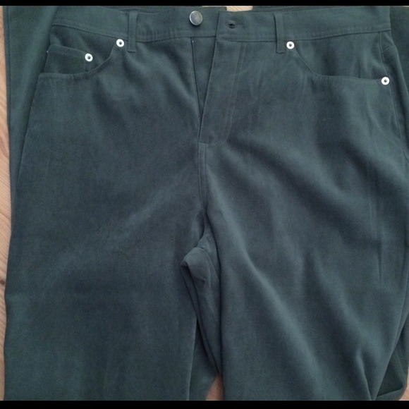 NWOT MOLE SKIN PANTS - Picture 3 of 4