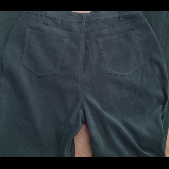 NWOT MOLE SKIN PANTS - Picture 4 of 4