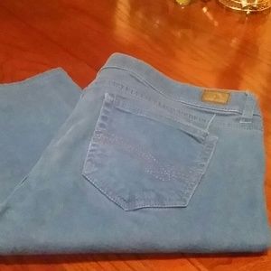 Jordache skinny jean