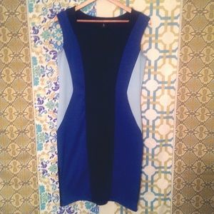 ! Host pick ! Colorblock Dress