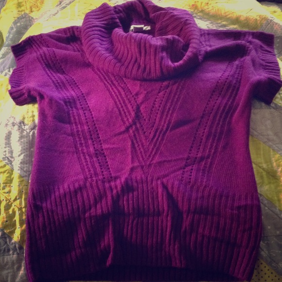 Short sleeve sweater with cowl neck