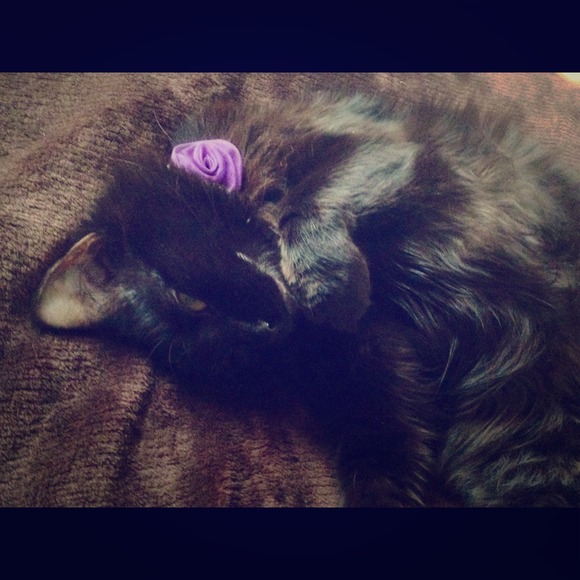 My sweet baby :) Definitely not for sale!