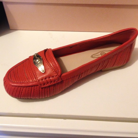 New Elliot Lucca flats.