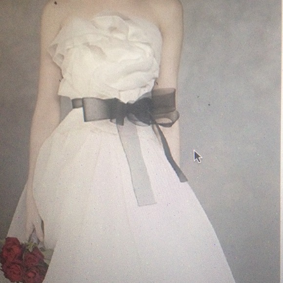 SOLD 🎉Vera Wang White horsehair wedding sash in