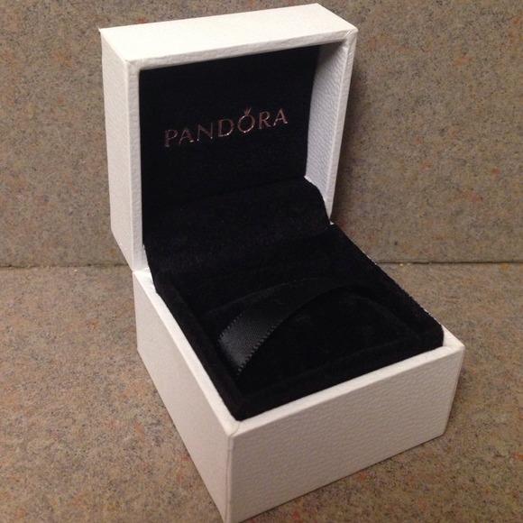 Pandora Charm Box❗️