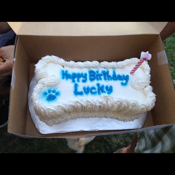 TODAY is LUCKY's 17th BDAY! HAPPY BDAY MY MAN! 😘 - Picture 2 of 4