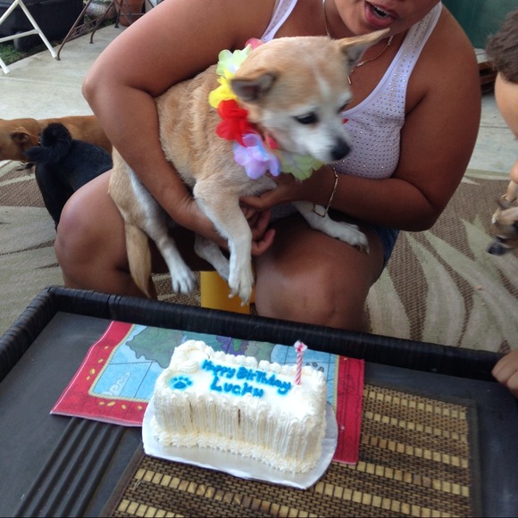 TODAY is LUCKY's 17th BDAY! HAPPY BDAY MY MAN! 😘 - Picture 3 of 4