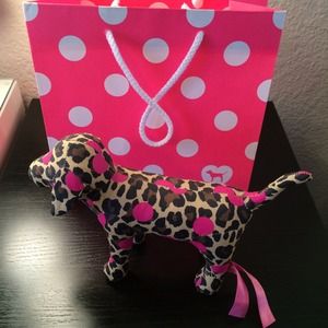 VS PINK dog