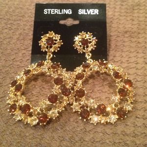 Brown and Gold Earrings