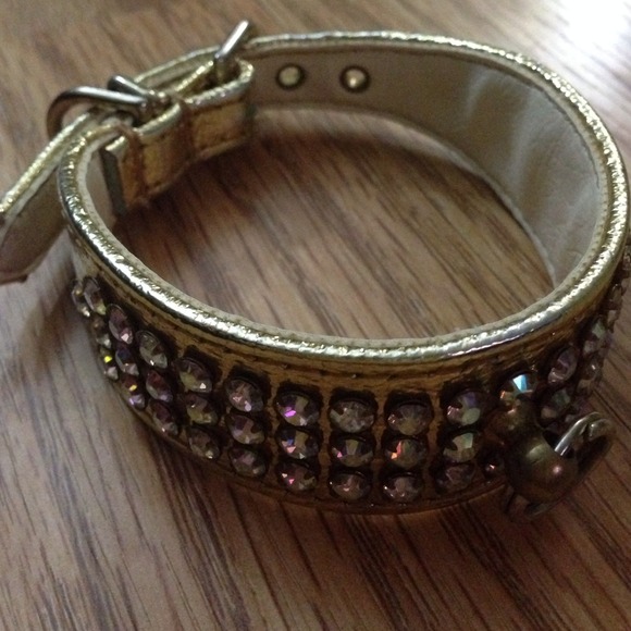 A golden studded sm dog collar