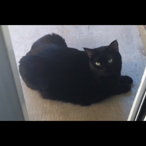 😻THE FOLLOWERS GAME!!!!TAG at least 3 people too! - Picture 3 of 4