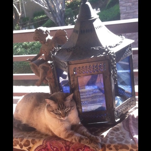 😻THE FOLLOWERS GAME!!!!TAG at least 3 people too! - Picture 4 of 4