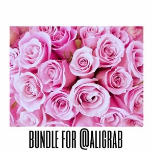 RESERVED Bundle for @aligrab!