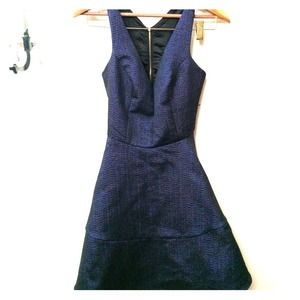 Express Classic Shimmer Dress