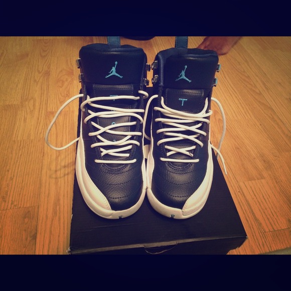 Air jordan 12 Obsidian blue/white