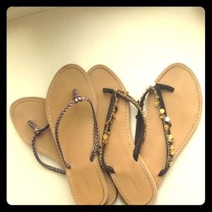 Stylish Flip Flops