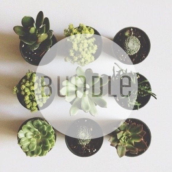 Bundle for @ragebabe