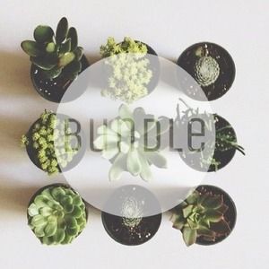 Bundle for @ragebabe