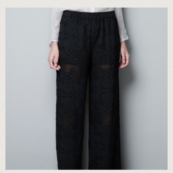 Zara sheer pants