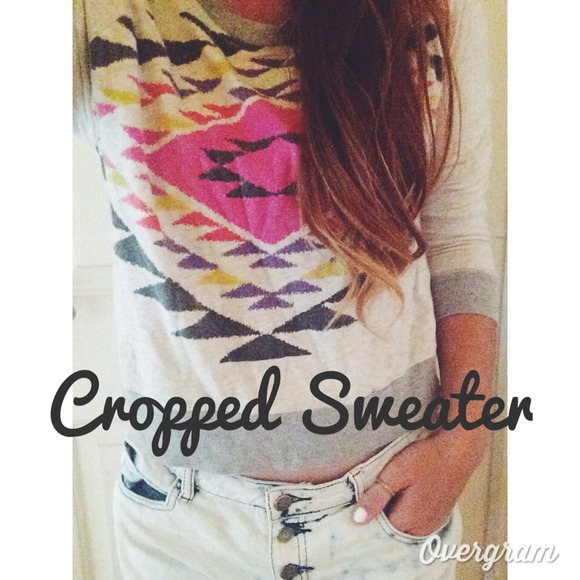 Forever 21 Cropped Sweater