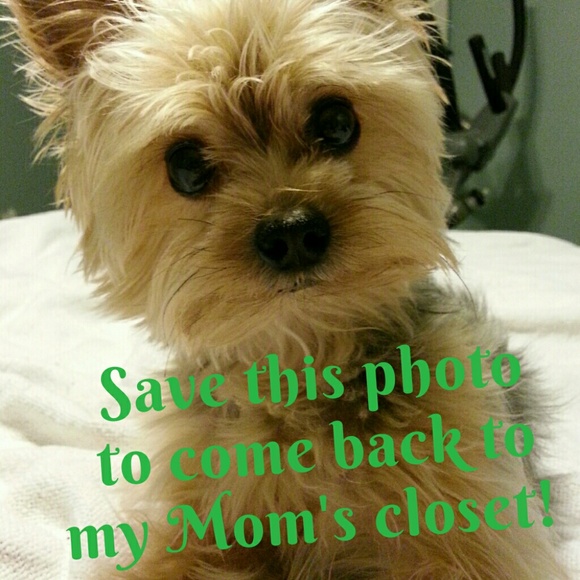 Come back soon! - Picture 4 of 4