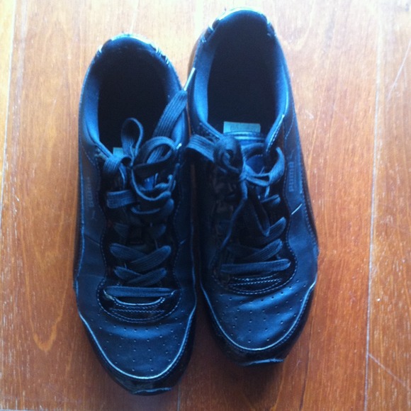 Commander P II Wn's Puma - Picture 2 of 3