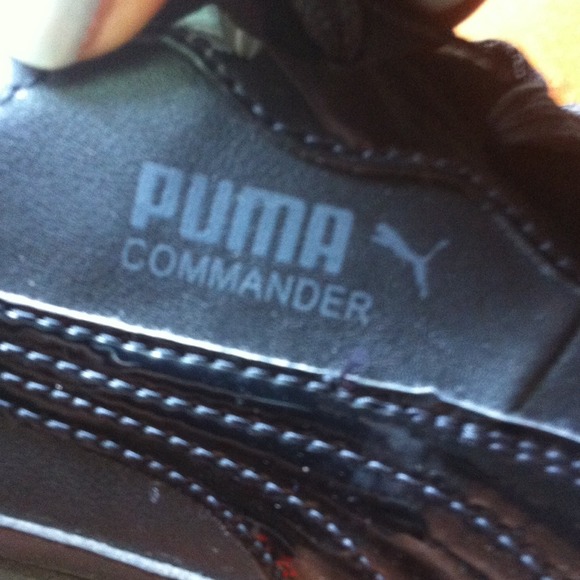 Commander P II Wn's Puma - Picture 3 of 3