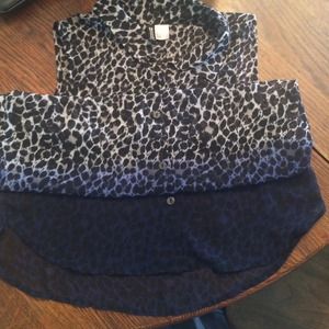 Button up, collared sheer top