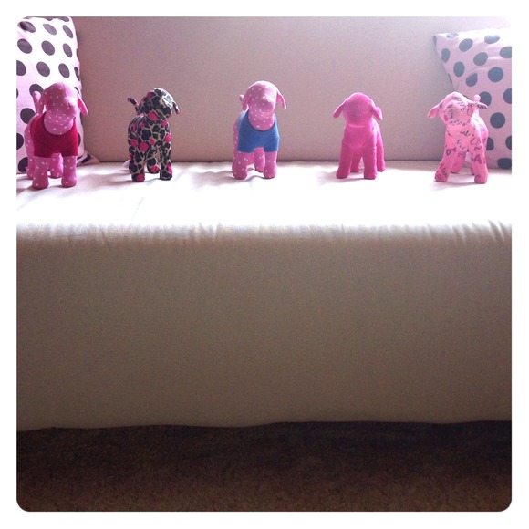 VS PINK Dogs