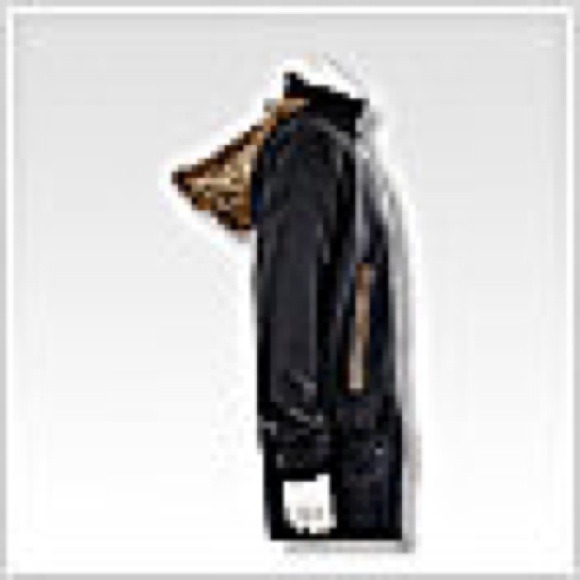 Adidas leopard windbreaker