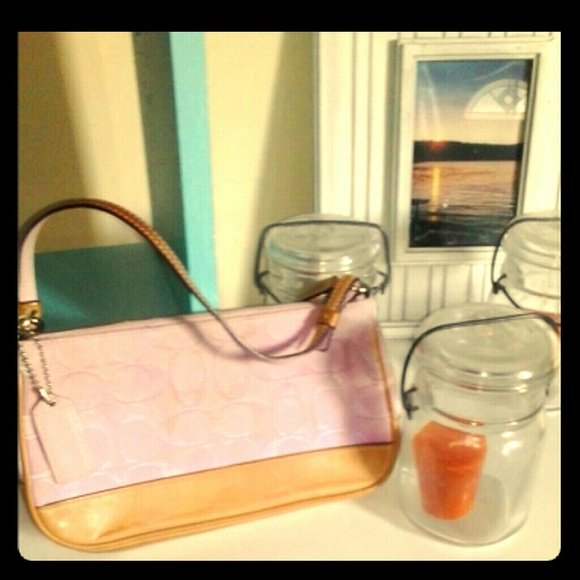 Small pink coach purse