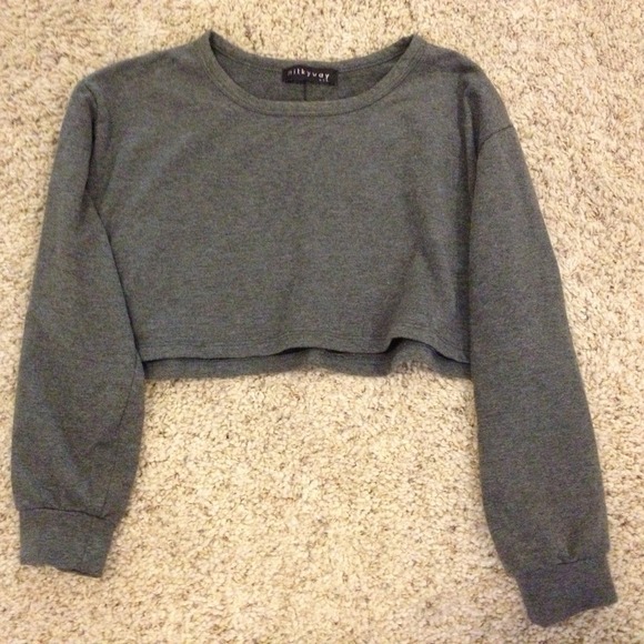 BRAND NEW TOBI GRAY LONG SLEEVED CROPPED PULL OVER