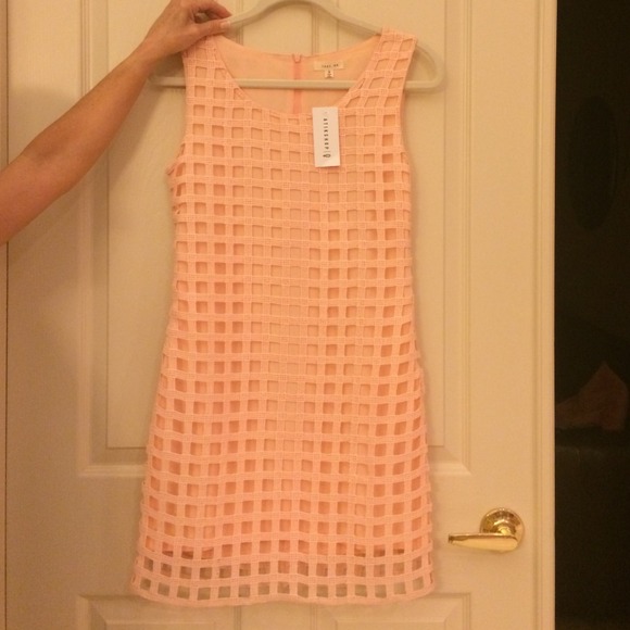 NWT size small dress!! BUNDLE with bebe top