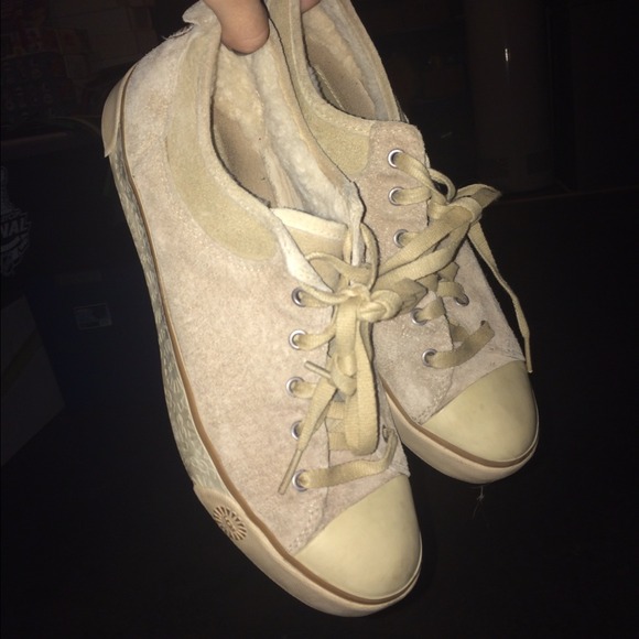 UGG EVERA SUEDE SNEAKERS