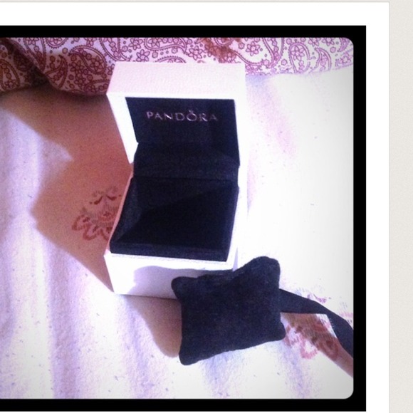 Authentic pandora charm box