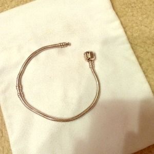 Bundled pandora bracelet and breast cancer charm