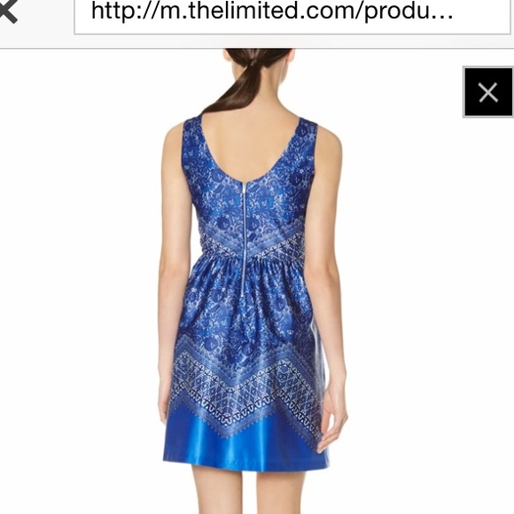 OBR Dress from The Limited; perfect condition! - Picture 3 of 4