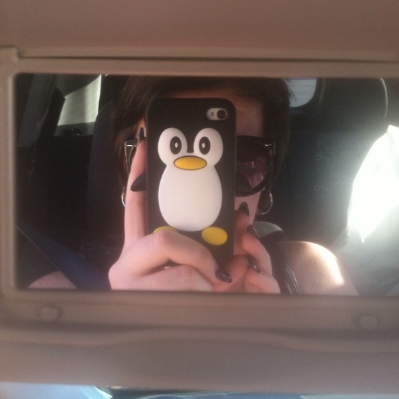 Penguin case