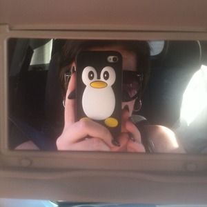 Penguin case