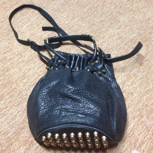 Beautiful Alexander Wang bag !!!fabulous condition