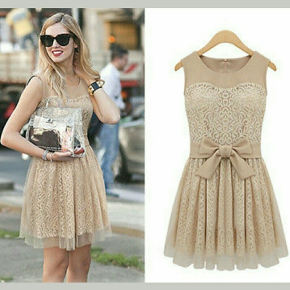 Formal Lace Skater Dress