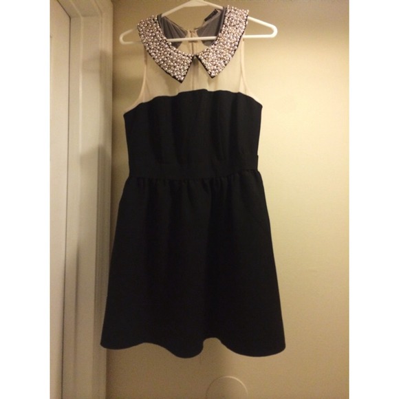 Darling Dresses & Skirts - Black Pearl Peter Pan Collar Dress