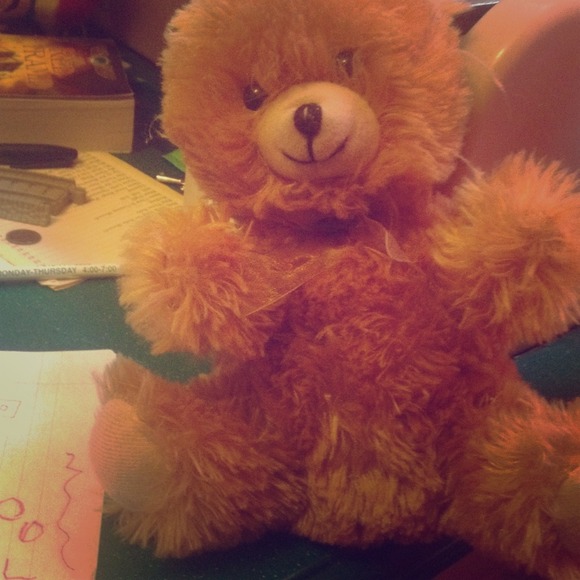 Teddy bear - Picture 1 of 1