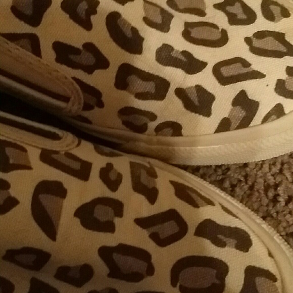 Cheetah converse - Picture 3 of 4