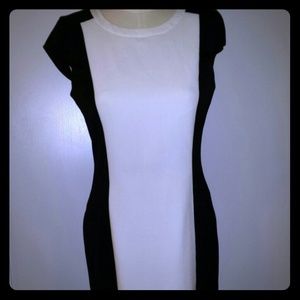 Calvin Klein Business Wear Dress