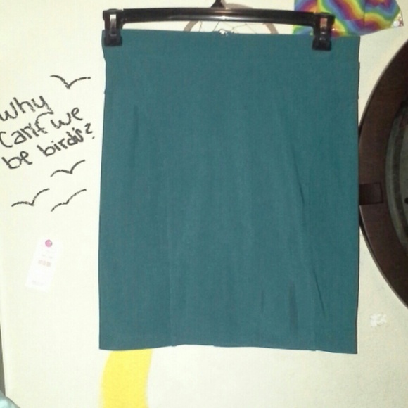 Pencil skirt (: