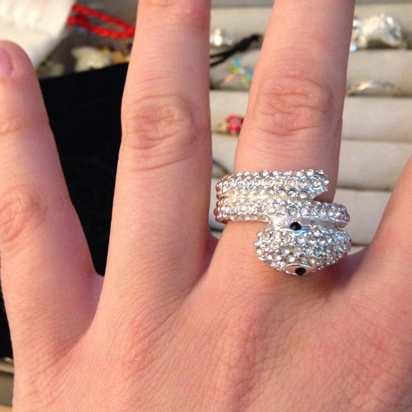 Snake Ring - Picture 2 of 4
