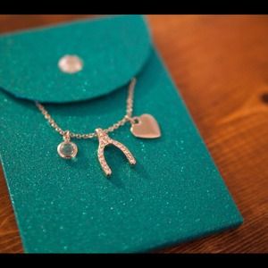 Pretty wishbone charm necklace.